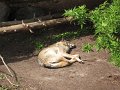 Maj2009 113